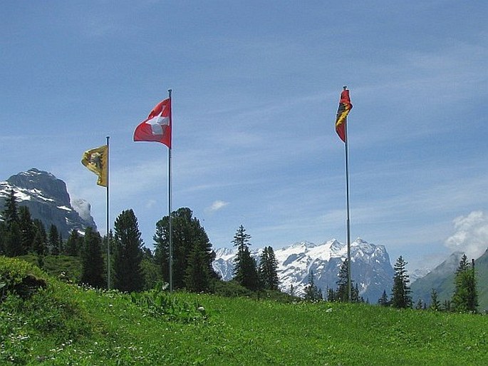 Zákonem chráněné druhy rostlin Švýcarska